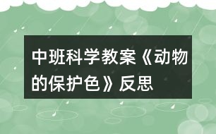 中班科學教案《動物的保護色》反思