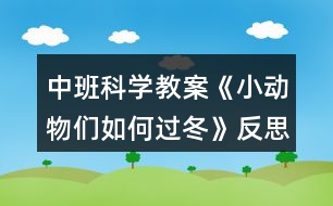 中班科學(xué)教案《小動(dòng)物們?nèi)绾芜^(guò)冬》反思