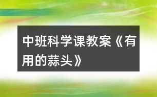 中班科學課教案《有用的蒜頭》
