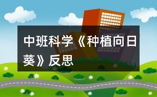 中班科學《種植向日葵》反思