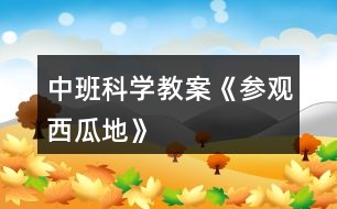 中班科學教案《參觀西瓜地》