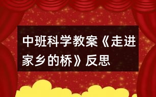 中班科學教案《走進家鄉(xiāng)的橋》反思