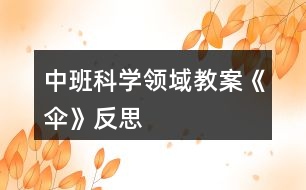 中班科學領域教案《傘》反思
