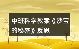 中班科學教案《沙寶的秘密》反思