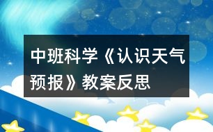 中班科學《認識天氣預報》教案反思