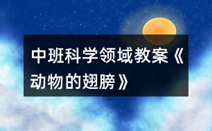 中班科學(xué)領(lǐng)域教案《動物的翅膀》