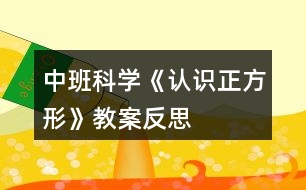 中班科學《認識正方形》教案反思