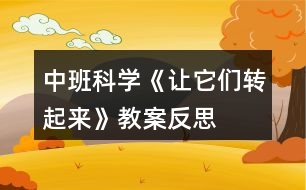 中班科學(xué)《讓它們轉(zhuǎn)起來(lái)》教案反思