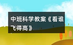中班科學教案《看誰飛得高》