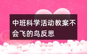 中班科學活動教案不會飛的鳥反思