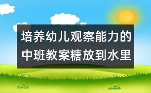 培養(yǎng)幼兒觀察能力的中班教案：糖放到水里會怎樣（科學）