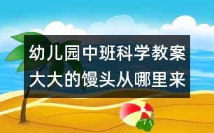 幼兒園中班科學(xué)教案：大大的饅頭從哪里來(lái)？