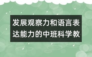 發(fā)展觀察力和語言表達能力的中班科學(xué)教案：蛋和蛋制品