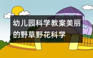 幼兒園科學(xué)教案：美麗的野草、野花（科學(xué)）
