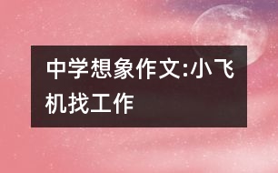 中學(xué)想象作文:小飛機(jī)找工作