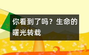 你看到了嗎？生命的曙光（轉載）