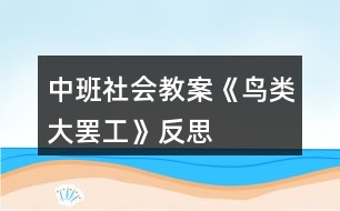 中班社會教案《鳥類大罷工》反思