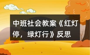 中班社會(huì)教案《紅燈停，綠燈行》反思