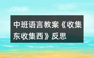 中班語(yǔ)言教案《收集東、收集西》反思