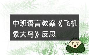 中班語(yǔ)言教案《飛機(jī)象大鳥》反思