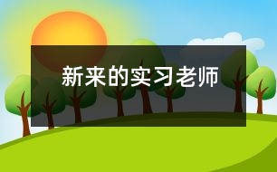 新來的實習(xí)老師