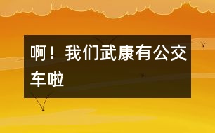 ??！我們武康有公交車啦