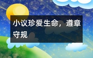 小議“珍愛生命，遵章守規(guī)”