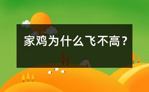 家雞為什么飛不高？