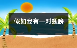 假如我有一對翅膀