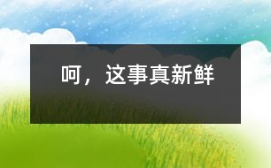 呵，這事真新鮮
