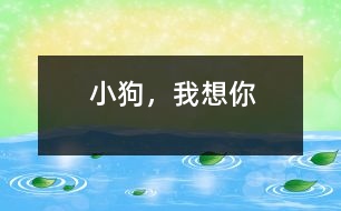 小狗，我想你