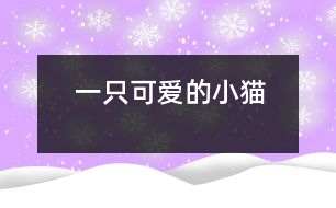 一只可愛(ài)的小貓