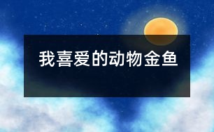 我喜愛的動物——金魚