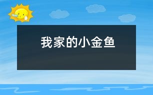 我家的小金魚