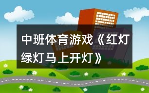 中班體育游戲《紅燈、綠燈、馬上開燈》反思