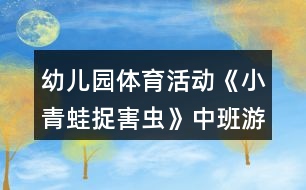 幼兒園體育活動(dòng)《小青蛙捉害蟲(chóng)》中班游戲教案反思