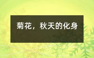菊花，秋天的化身