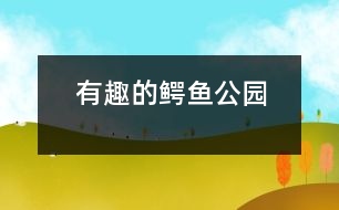 有趣的鱷魚公園