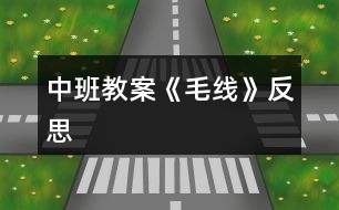 中班教案《毛線(xiàn)》反思