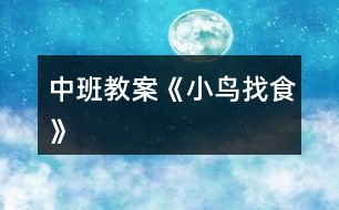 中班教案《小鳥(niǎo)找食》