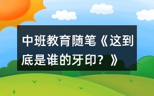 中班教育隨筆《這到底是誰(shuí)的牙印？》