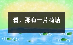 看，那有一片荷塘
