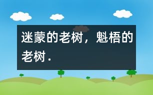 迷蒙的老樹，魁梧的老樹．