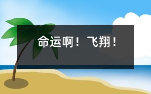 命運??！飛翔！