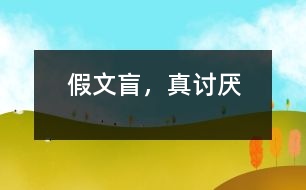 假文盲，真討厭