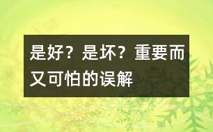 是好？是壞？——重要而又可怕的誤解