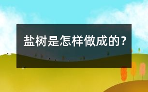 鹽樹(shù)是怎樣做成的？