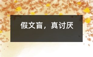 假文盲，真討厭