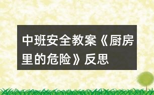 中班安全教案《廚房里的危險》反思