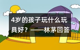 4歲的孩子玩什么玩具好？――林茅回答